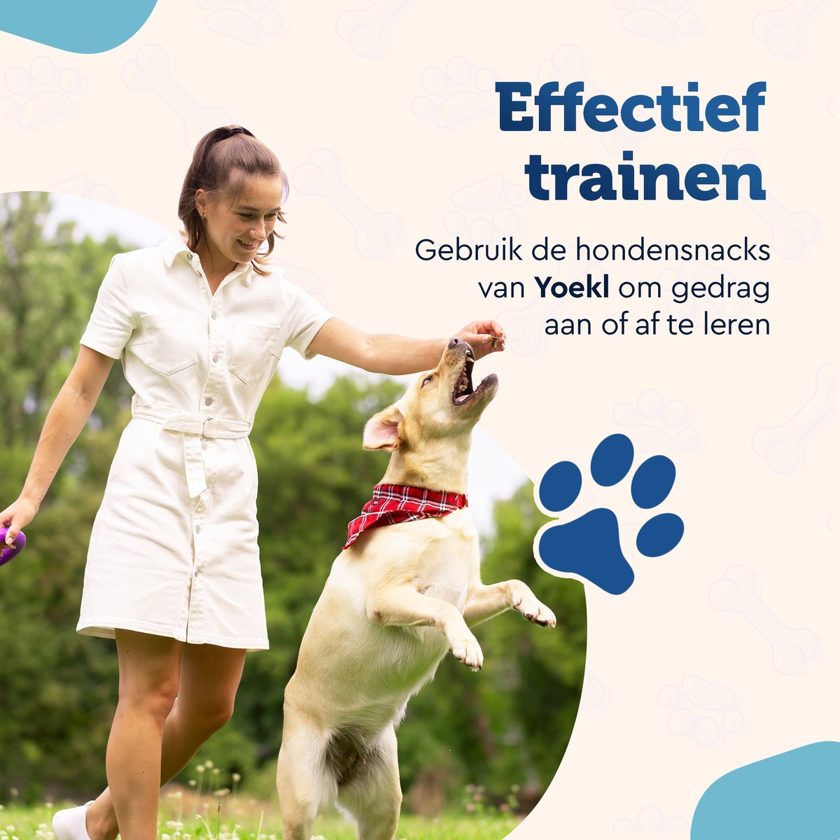 YOEKL - Kipfilet 900 Gram