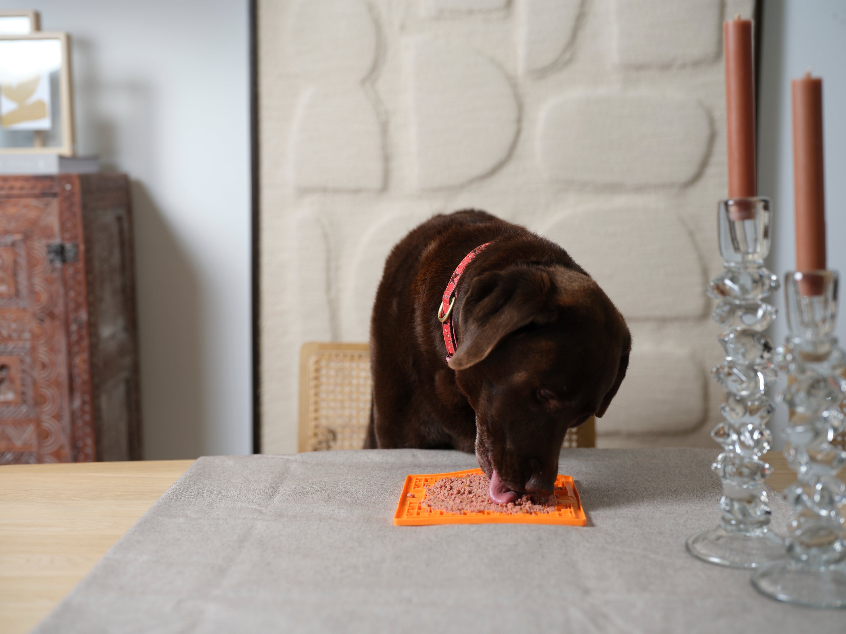 Een likmat voor honden: dé manier om verveling tegen te gaan en meer rust te creëren