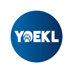 Collection image for: YOEKL