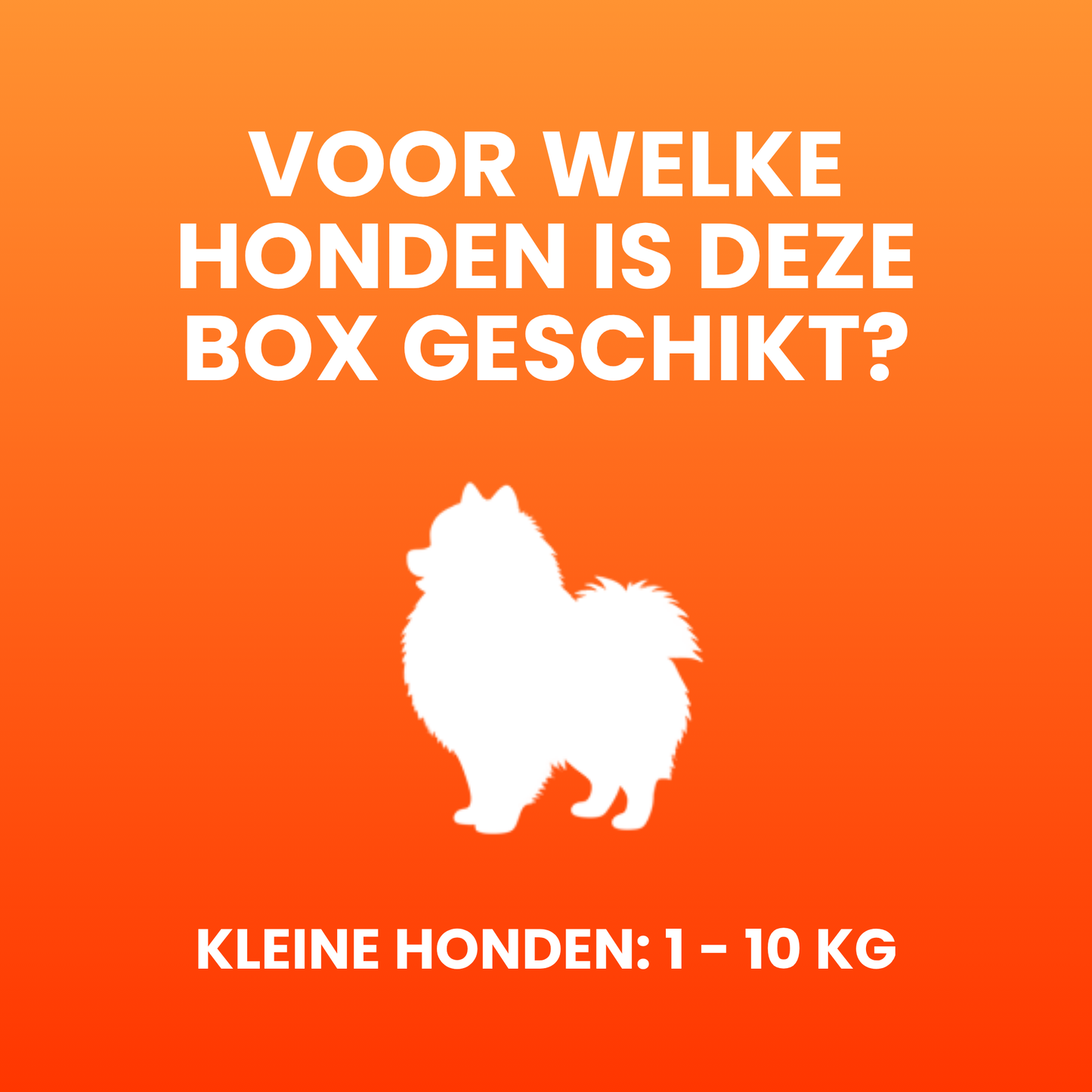 Petfactor Snackbox - Kleine Honden