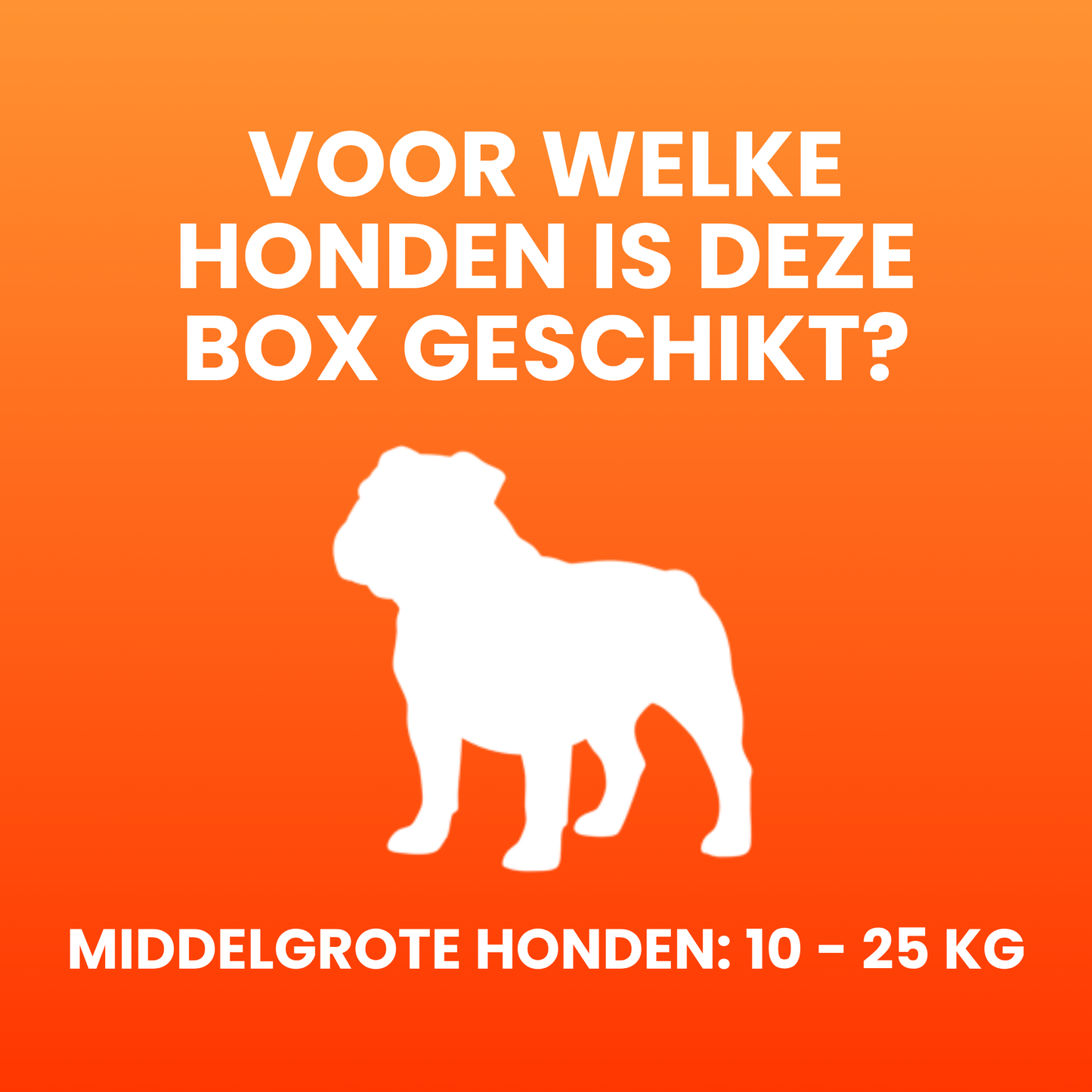 Petfactor Snackbox - Middelgrote Honden