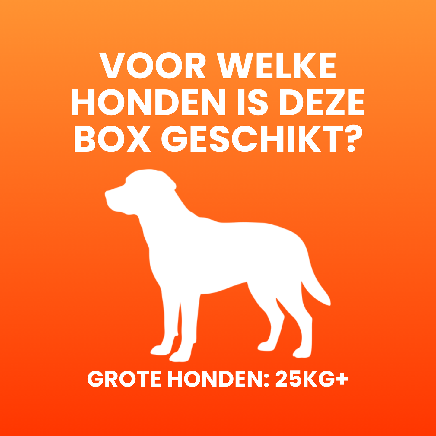 Petfactor Snackbox - Grote Honden