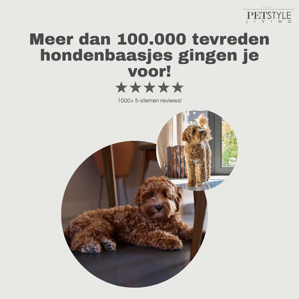 Petstyle Living - Geperste Botten met Kip & Rund Meerkleurig 10cm - 20 Stuks