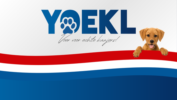 Banner image for: 