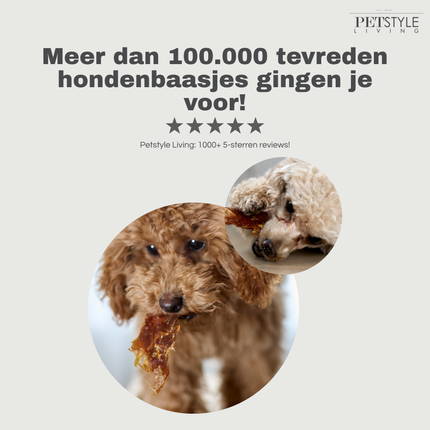 Petstyle Living - Eendfilets - 1KG