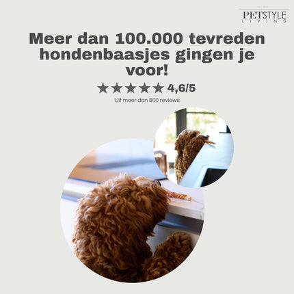 Petstyle Living - Gedraaide Sticks met Kip 12.5cm - 30 Stuks