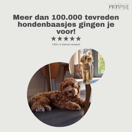 Petstyle Living - Gepofte Ringen met Kip 12,5cm - 10 Stuks