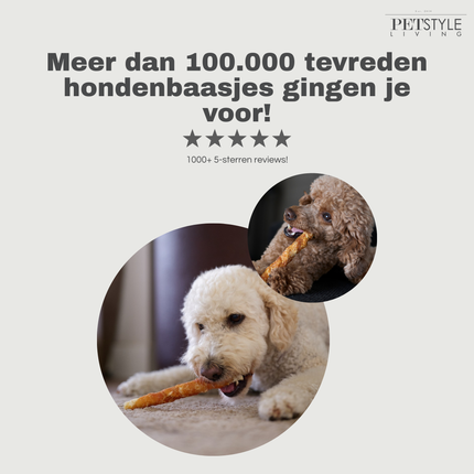 Petstyle Living - Kauwstaven Meerkleurig met Kip & Rund 20cm - 20 Stuks