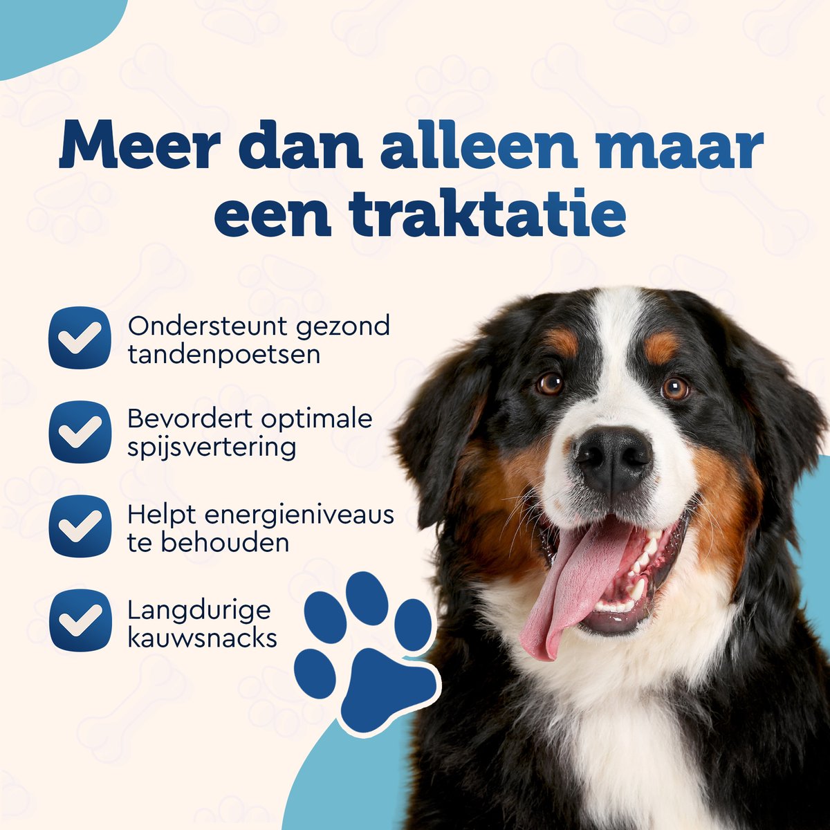 YOEKL - Kauwstaven met Kip 20cm 6 Stuks