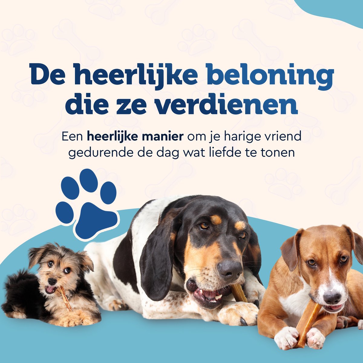 YOEKL - Kauwstaven met Kip 20cm 6 Stuks