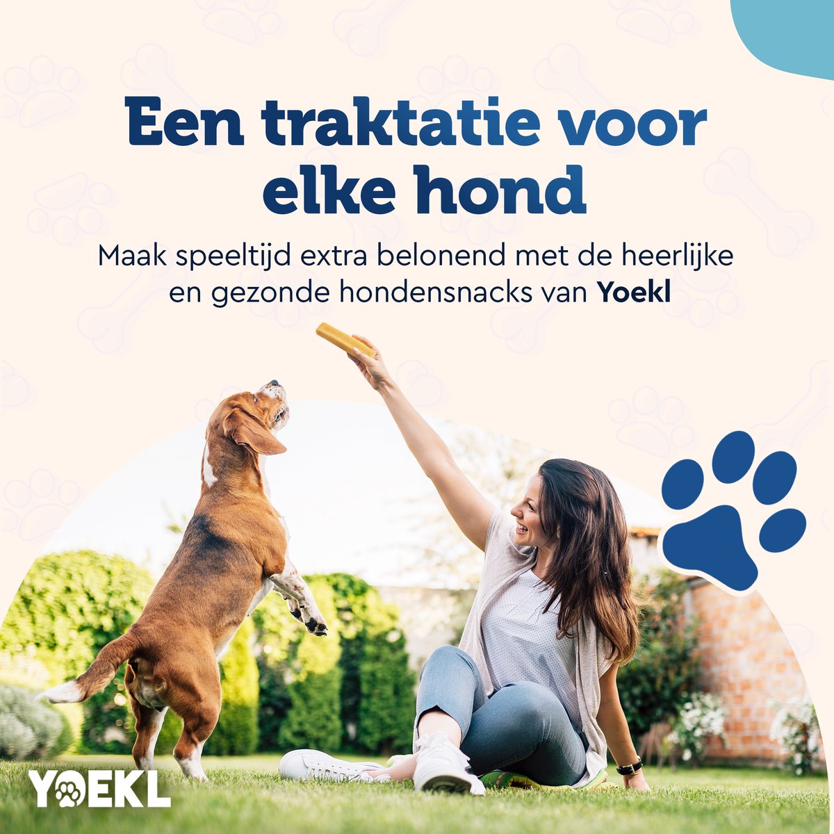 YOEKL - Kauwstaven met Kip 20cm 6 Stuks