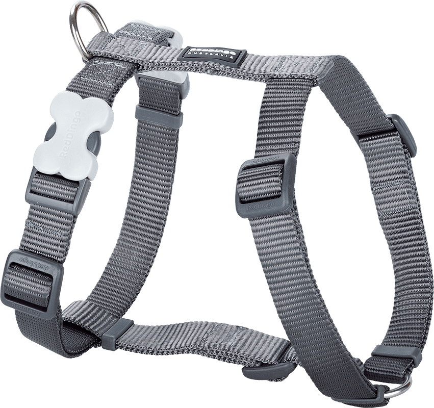 DH ZZ GY RD Harness Grey