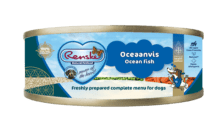 Oceaanvis