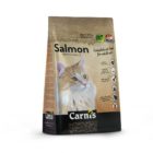 Cat Salmon